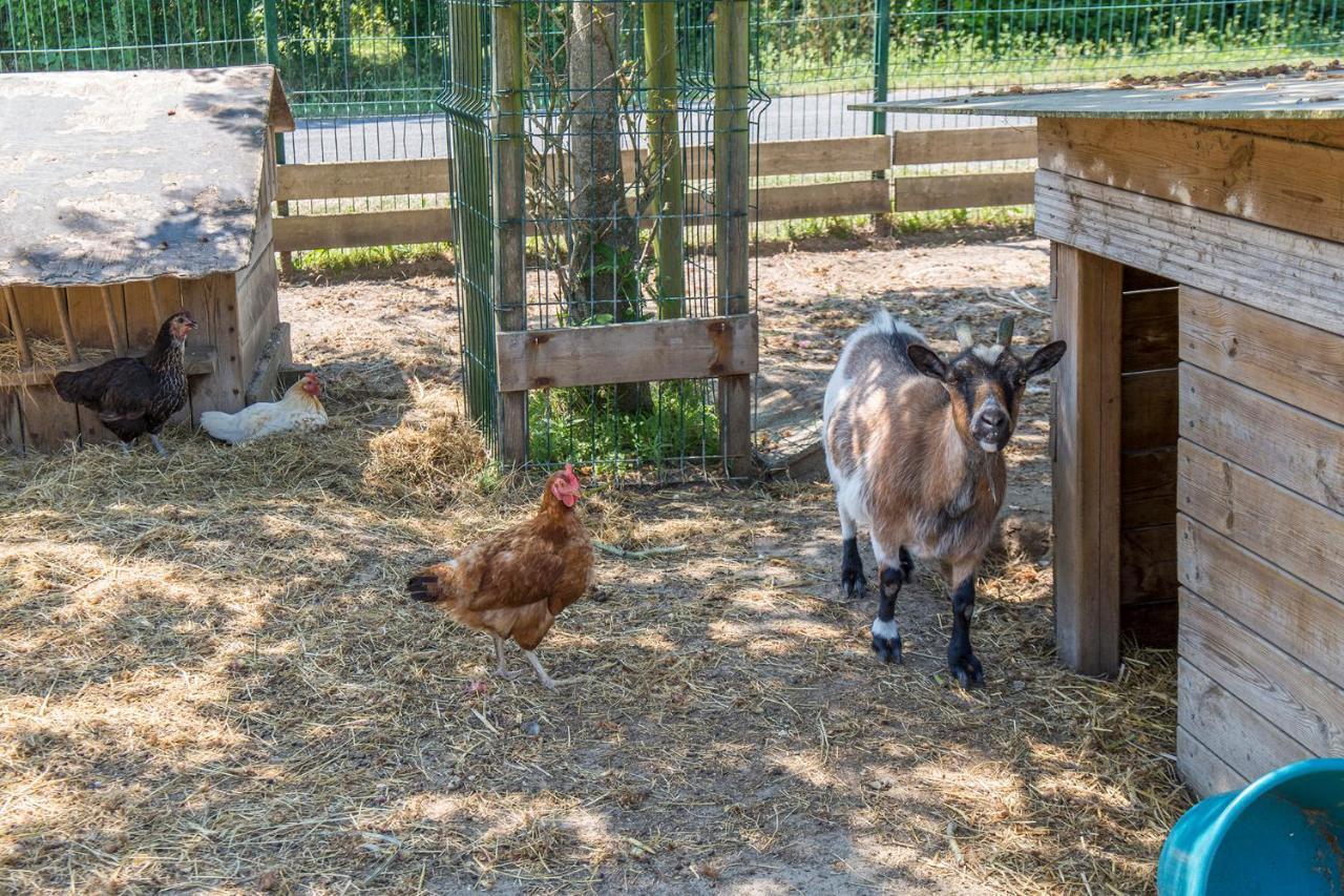 Camping Antioche D'Oleron La Bree-les-Bains Bagian luar foto